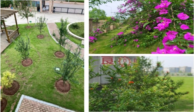 product-648-374 product-648-374